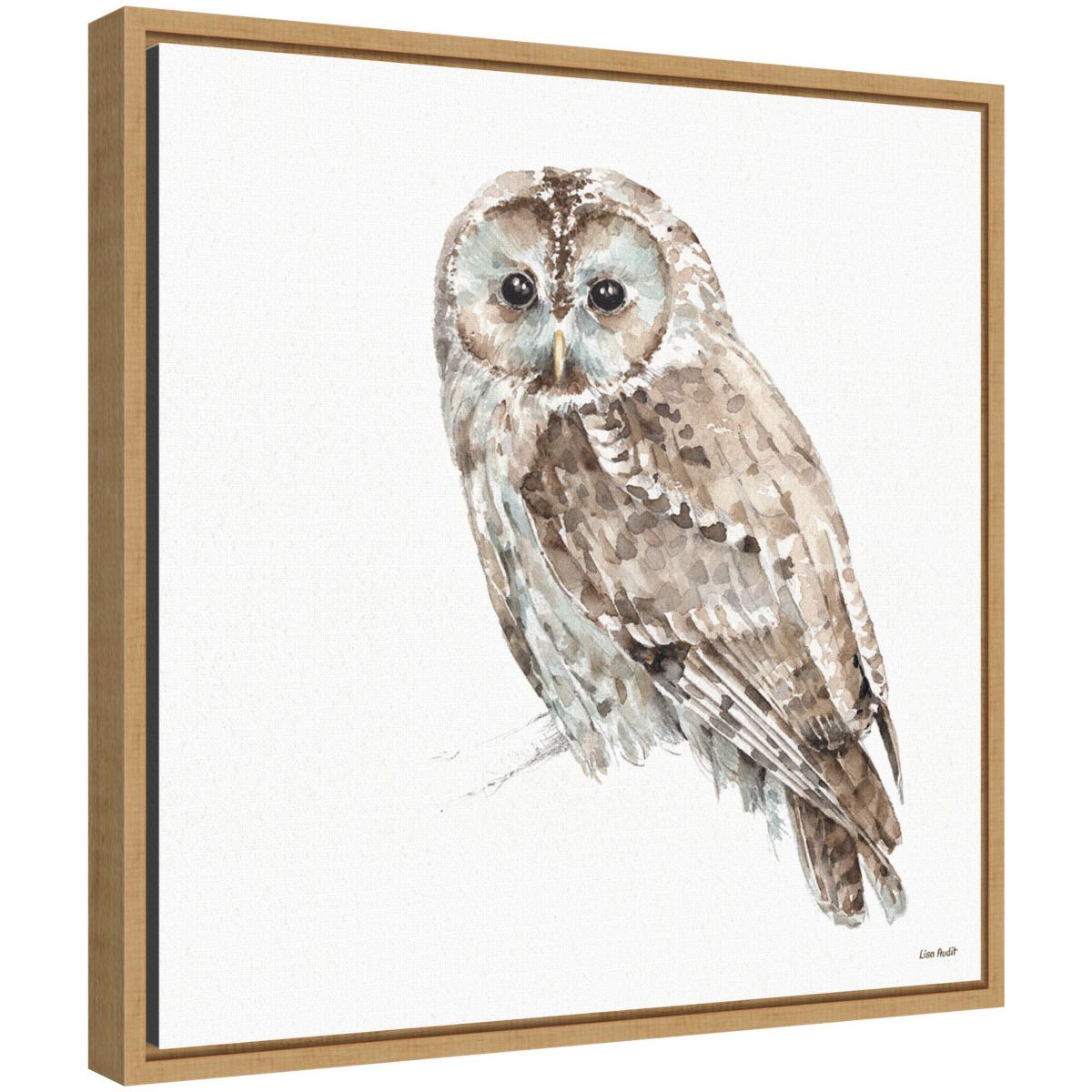 Forest Friends IX Framed Canvas Wall Art Print