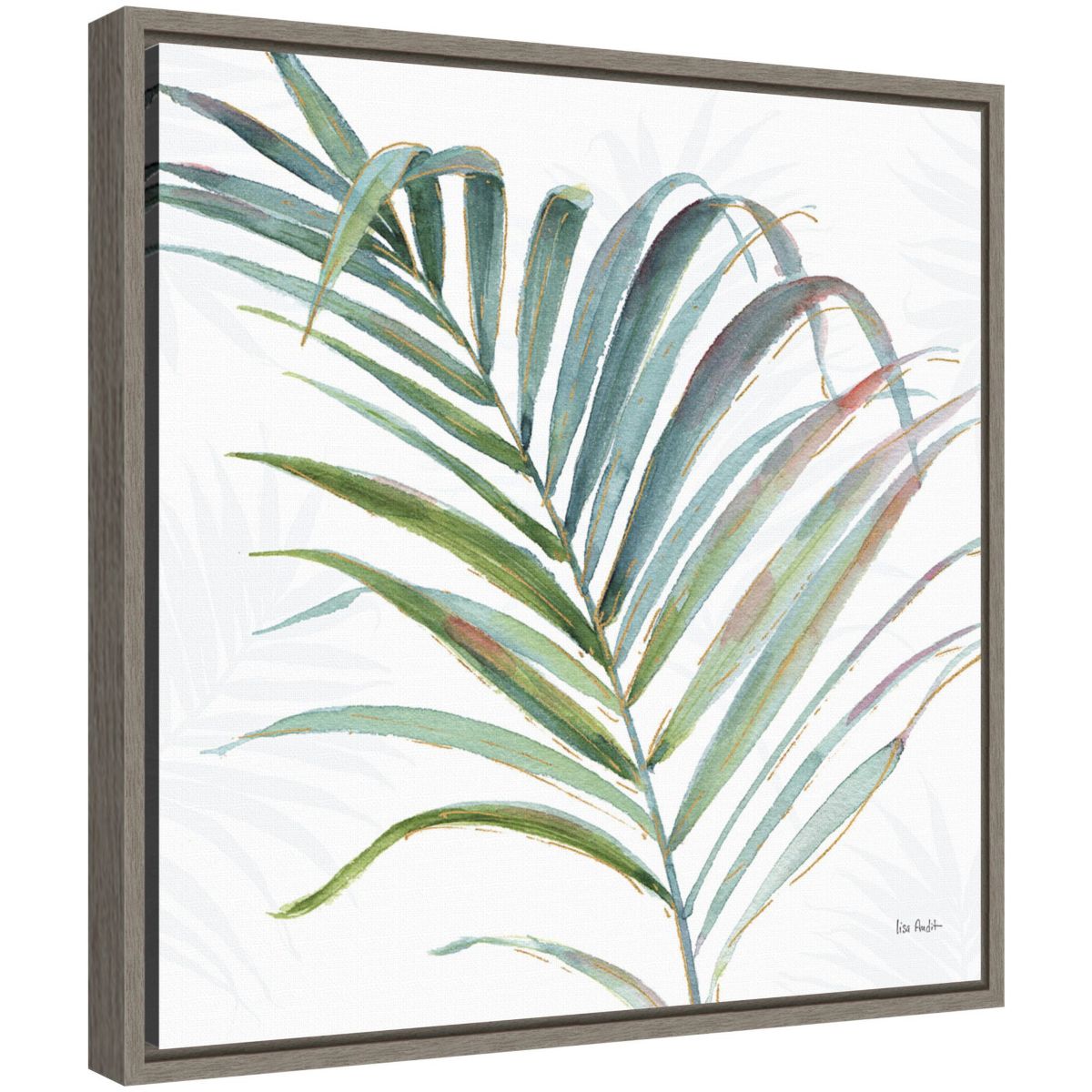 Tropical Blush V Framed Canvas Wall Art Print