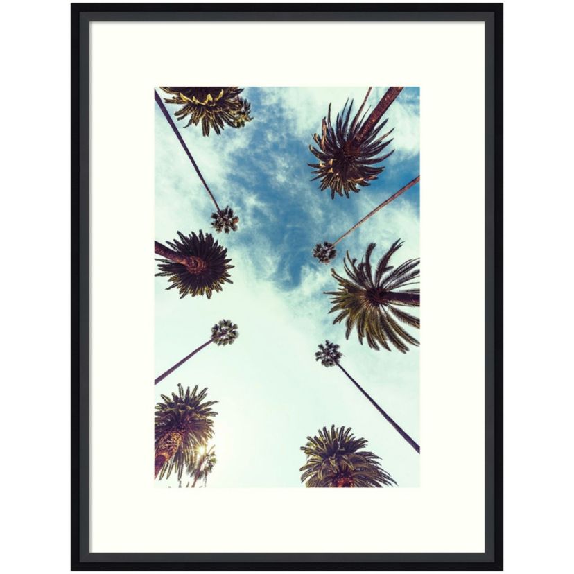 Palm Sky 2 Framed Wall Art Print