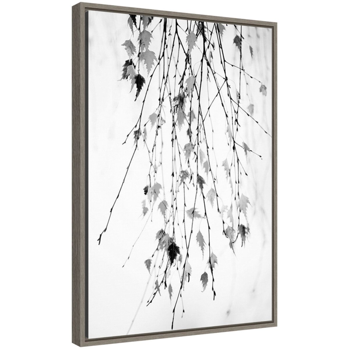 Hanging (Branches) Framed Canvas Wall Art Print