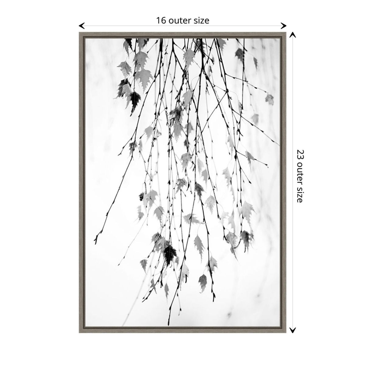 Hanging (Branches) Framed Canvas Wall Art Print