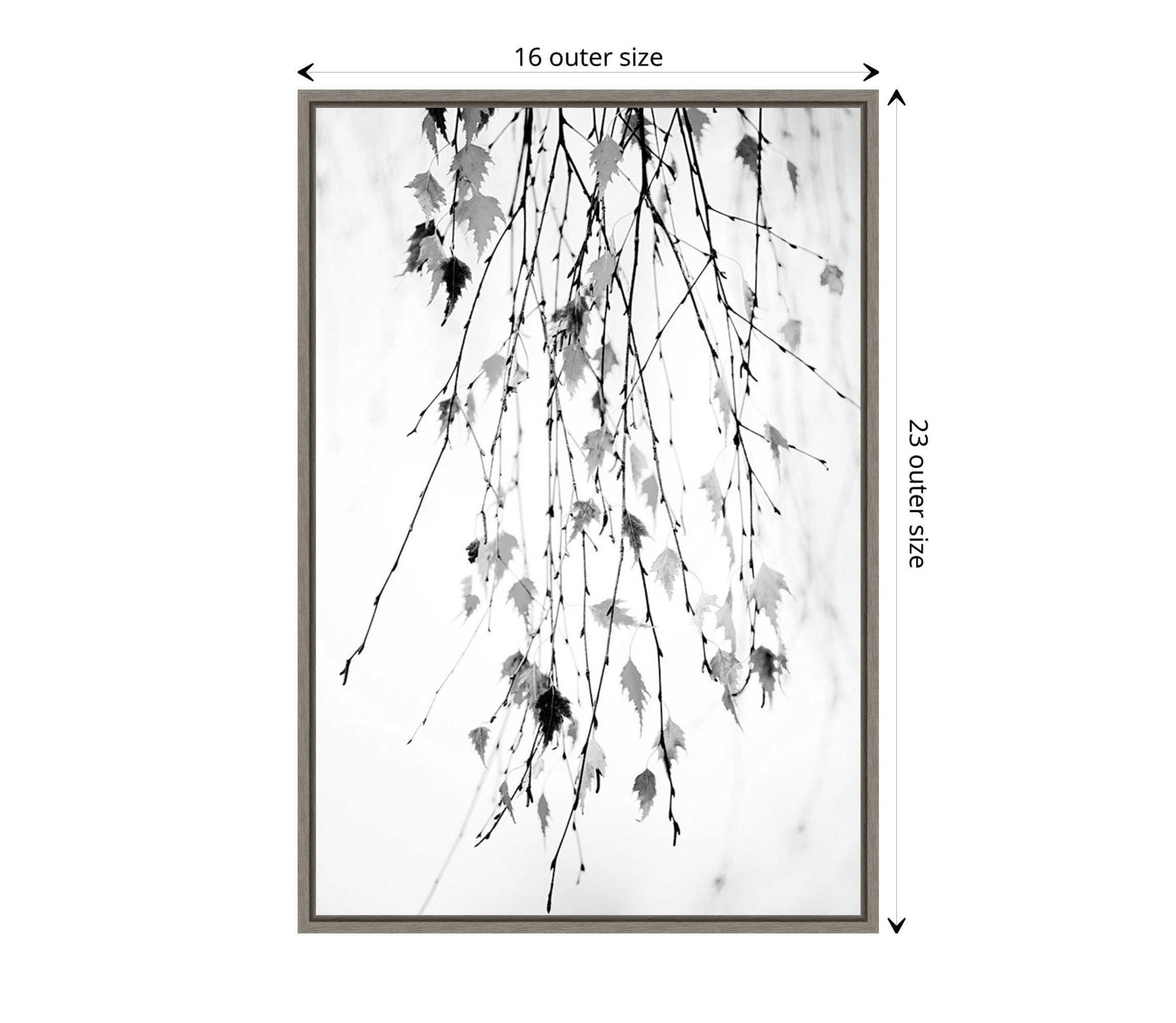 Hanging (Branches) Framed Canvas Wall Art Print