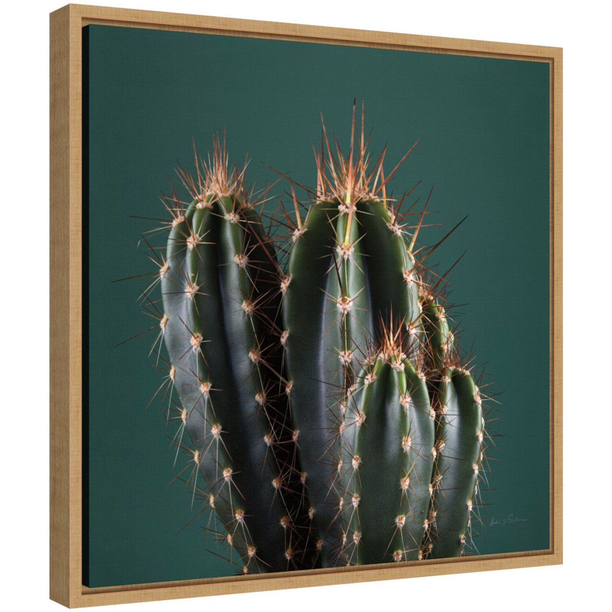 Cactus IV Framed Canvas Wall Art Print