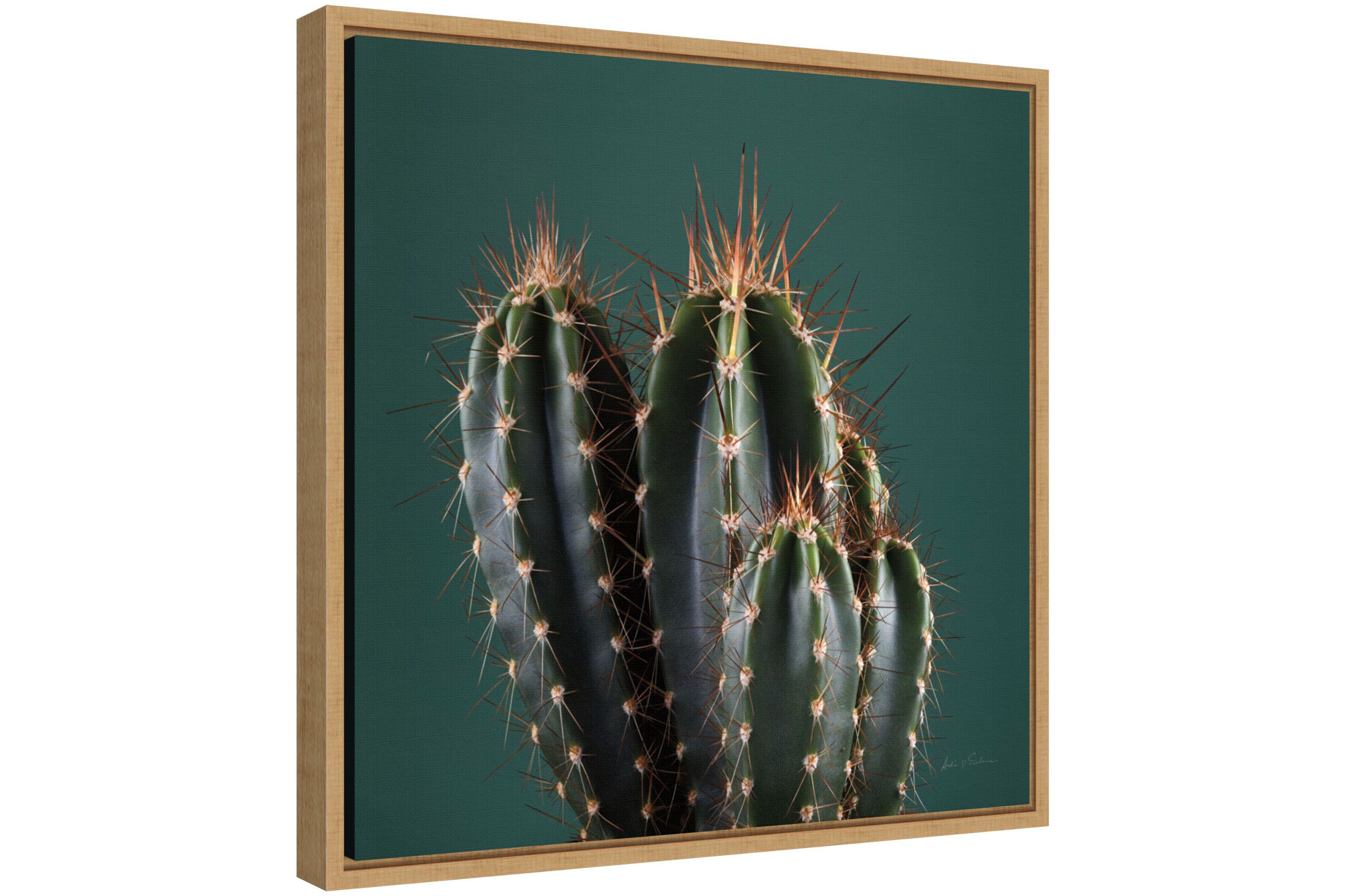 Cactus IV Framed Canvas Wall Art Print