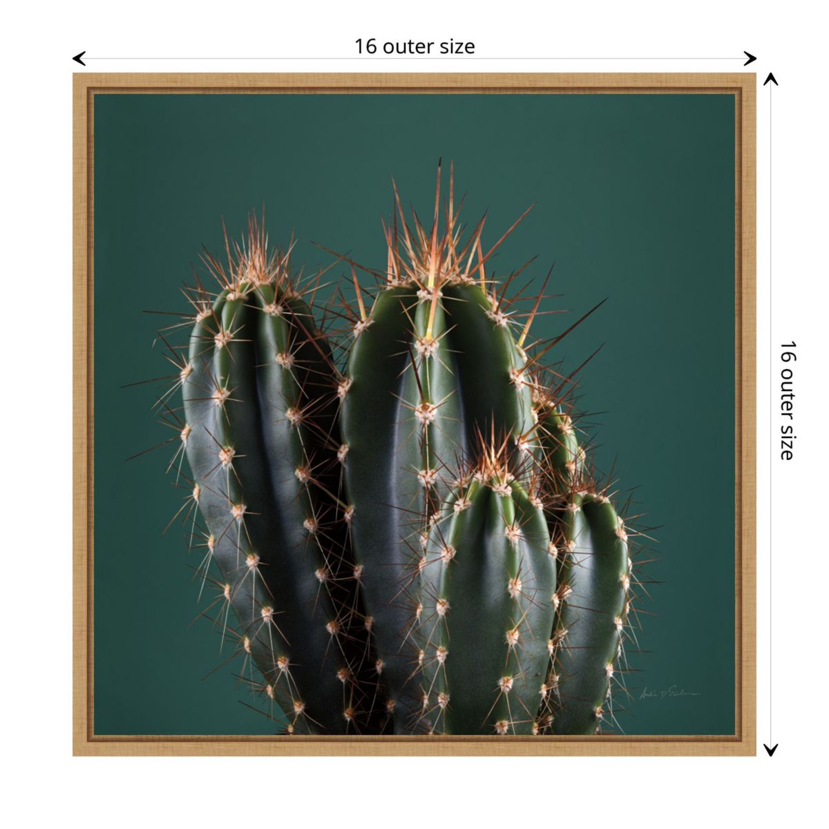 Cactus IV Framed Canvas Wall Art Print
