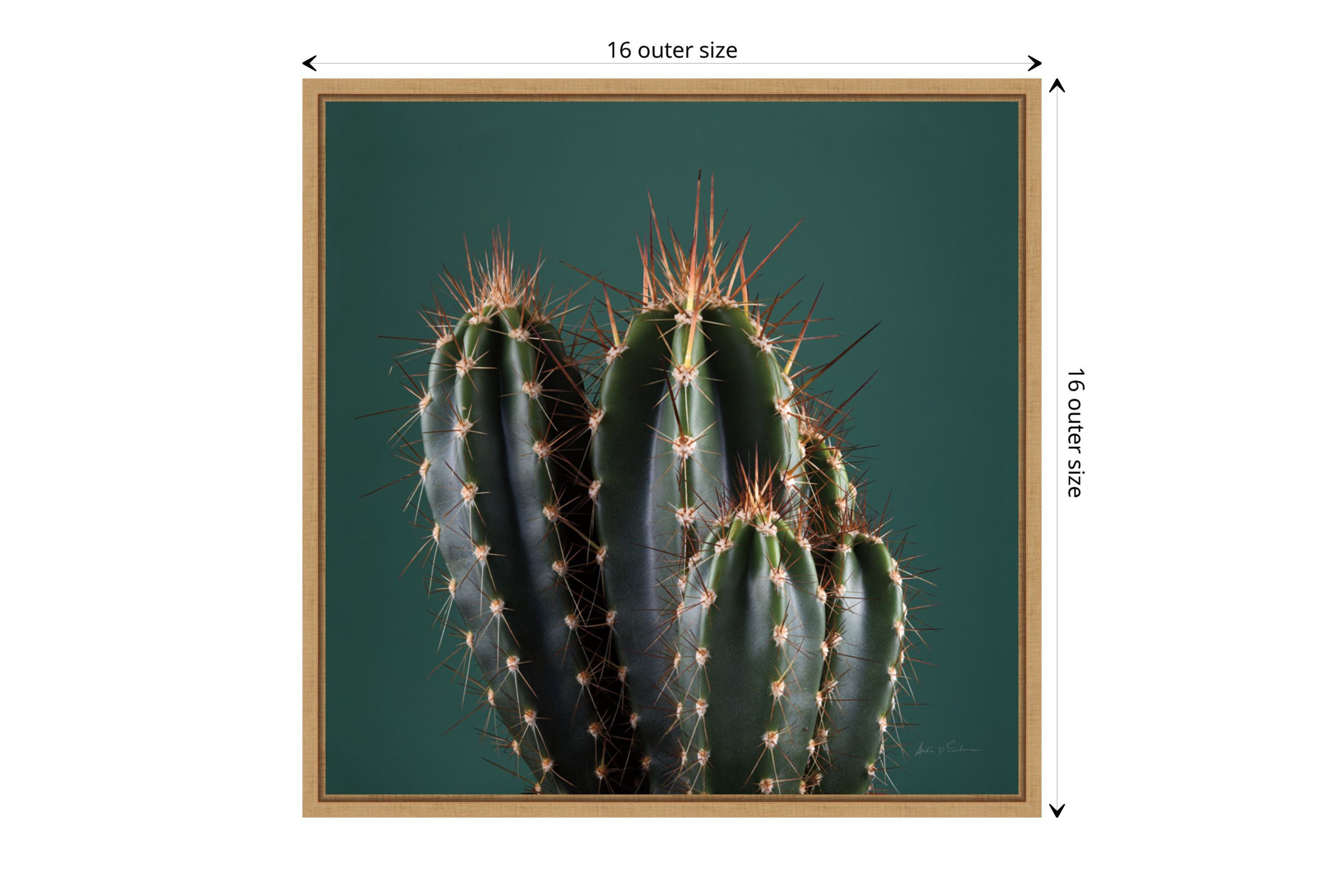 Cactus IV Framed Canvas Wall Art Print