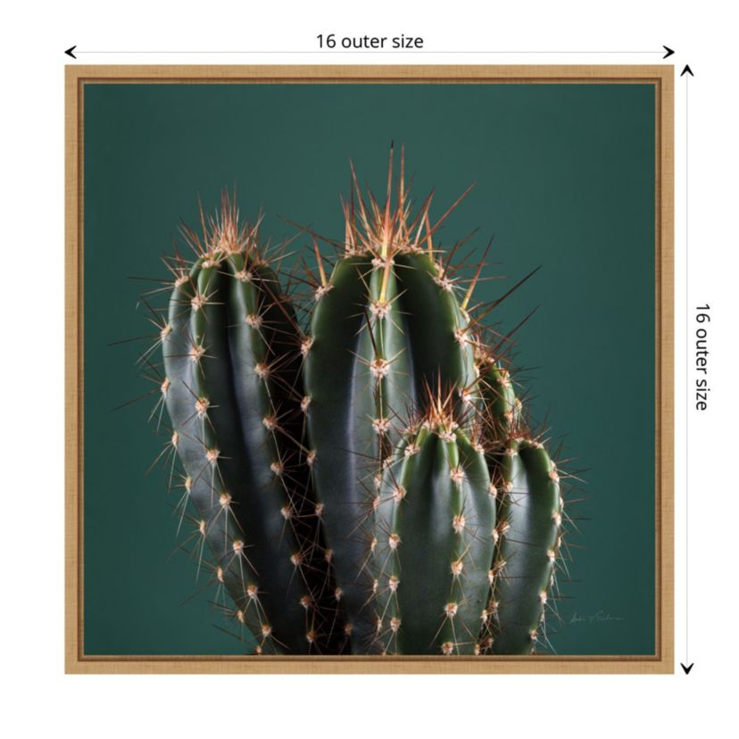 Cactus IV Framed Canvas Wall Art Print