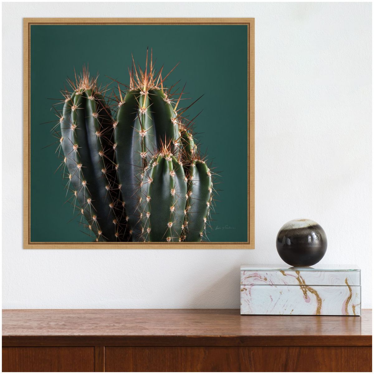 Cactus IV Framed Canvas Wall Art Print