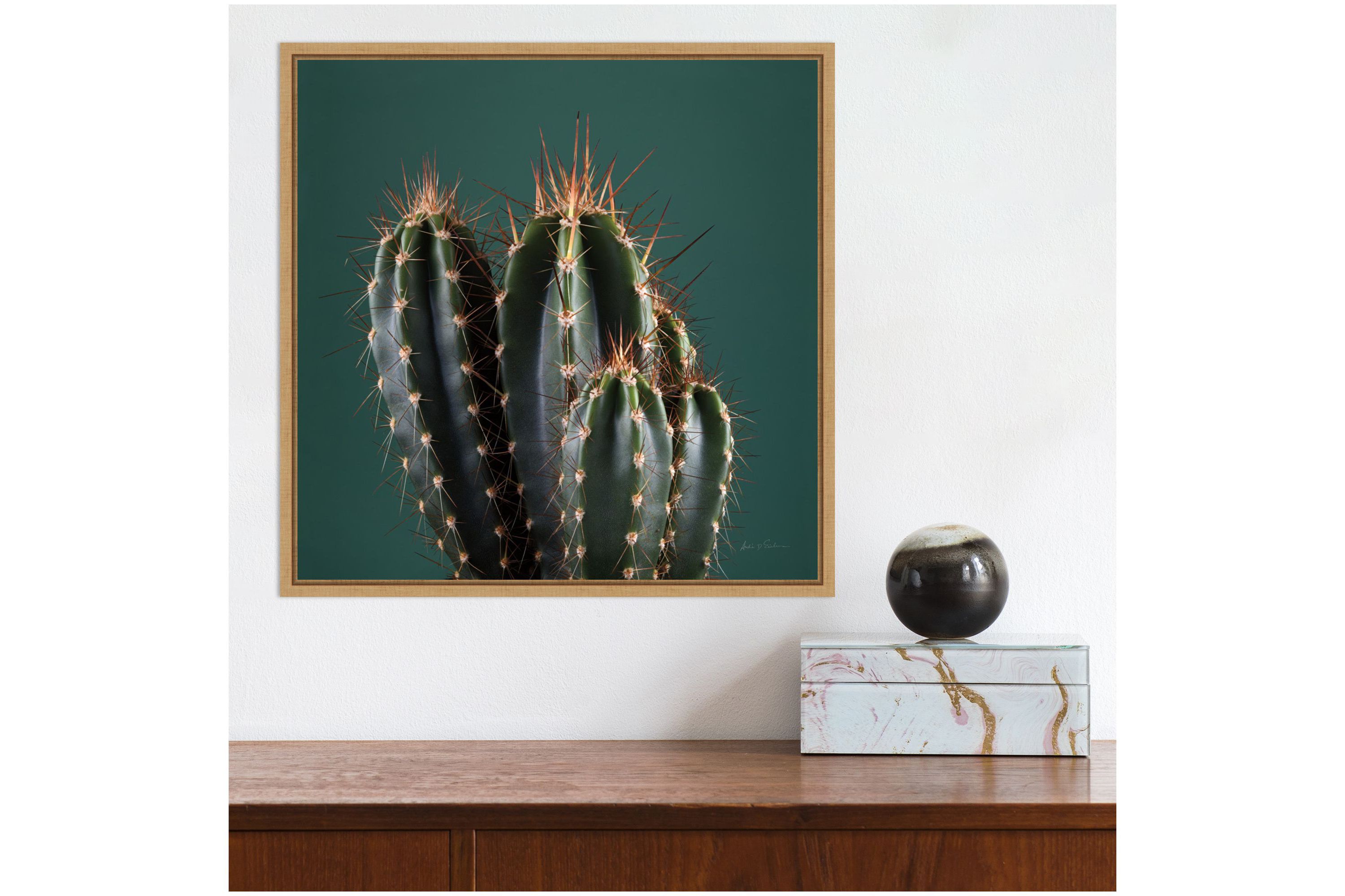 Cactus IV Framed Canvas Wall Art Print