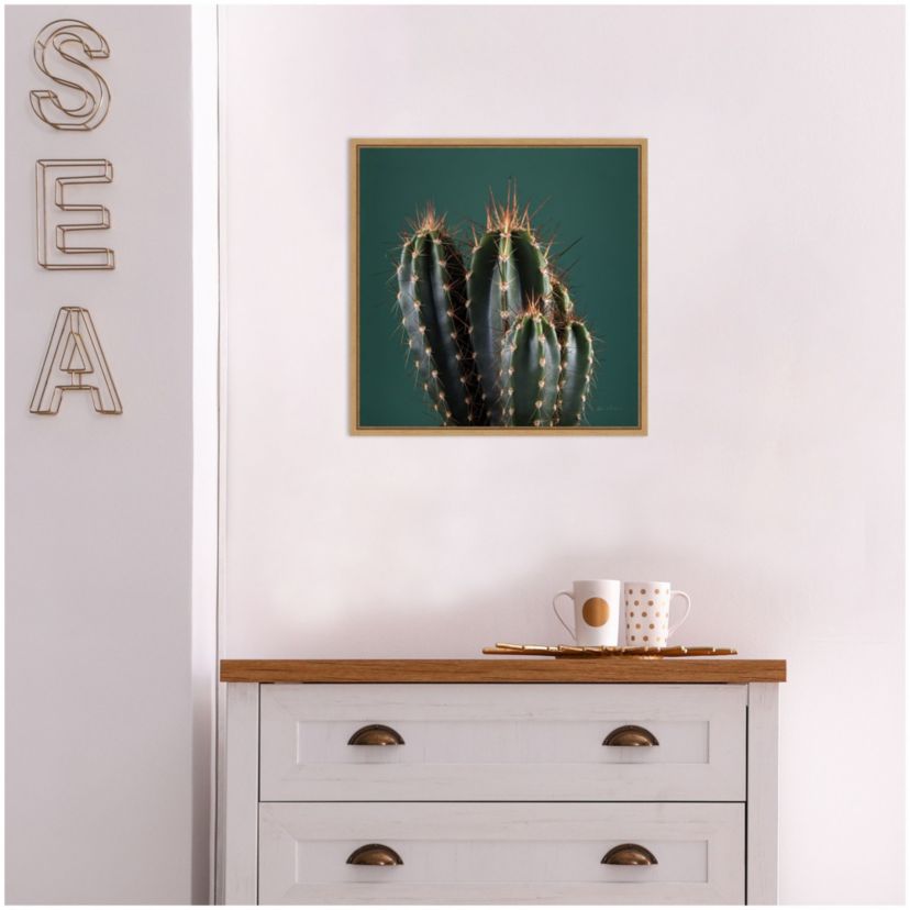 Cactus IV Framed Canvas Wall Art Print
