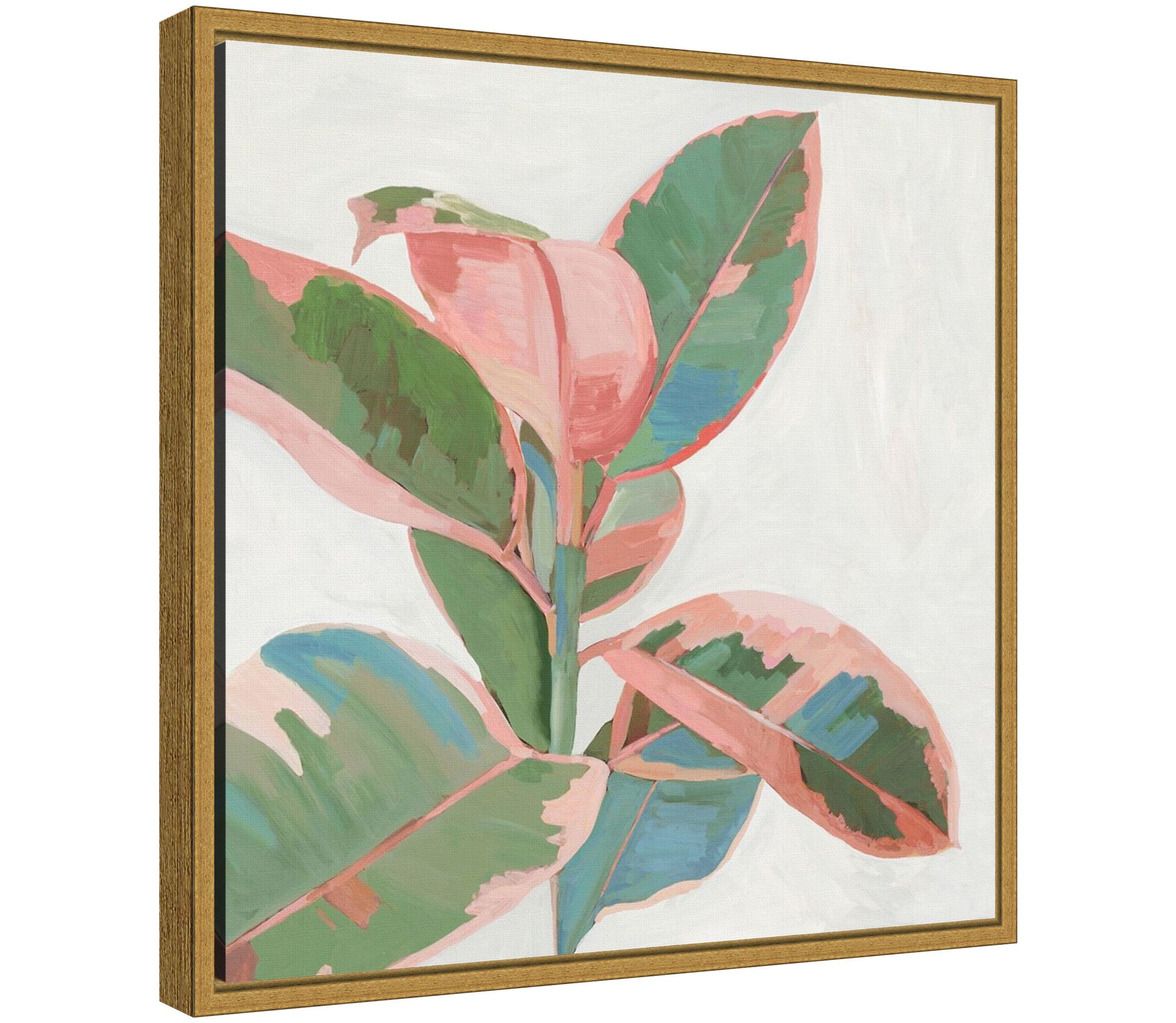 Pink Ficus I Framed Canvas Wall Art Print