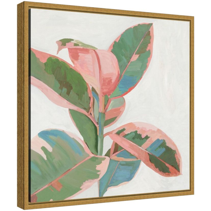 Pink Ficus I Framed Canvas Wall Art Print