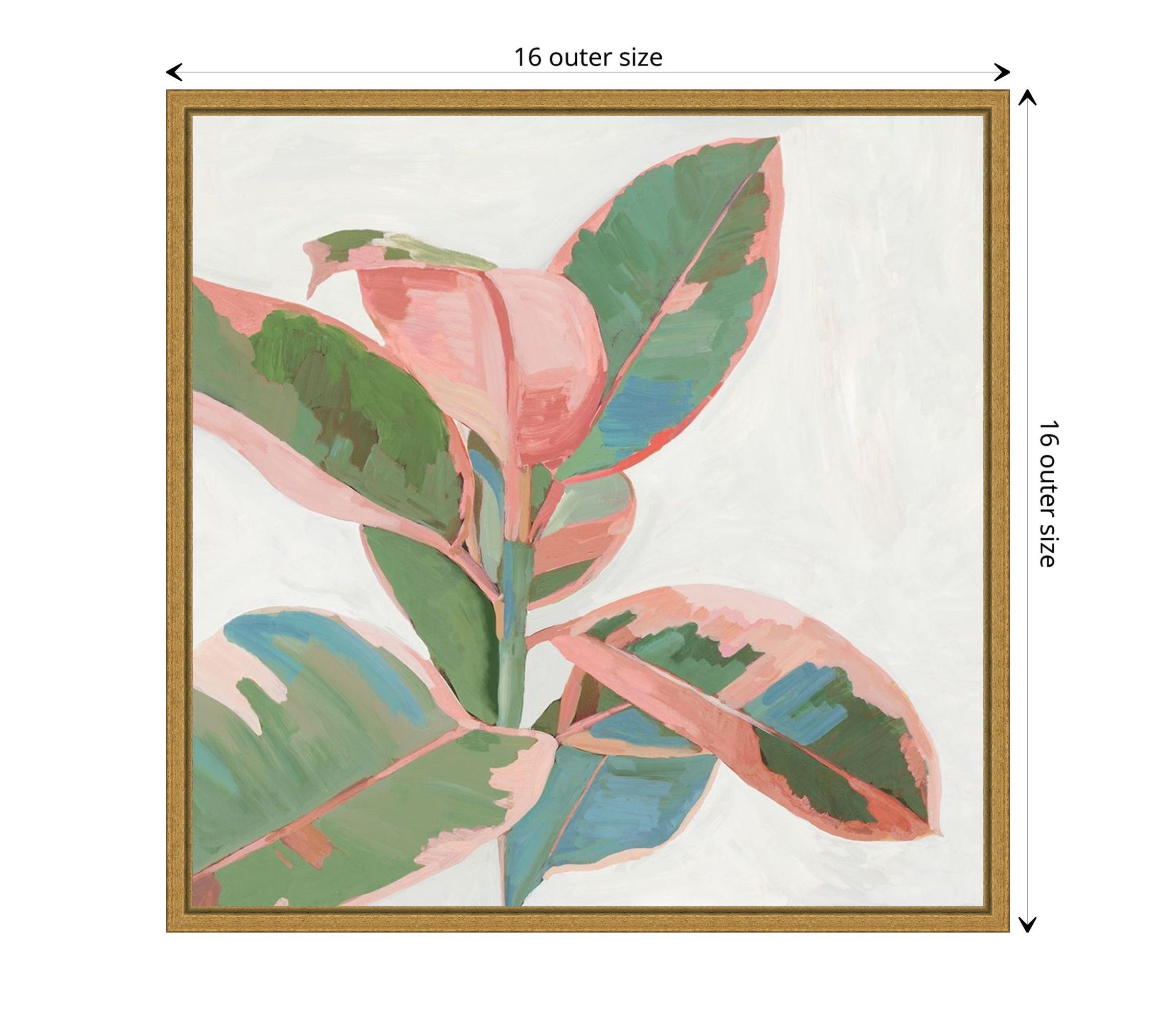 Pink Ficus I Framed Canvas Wall Art Print