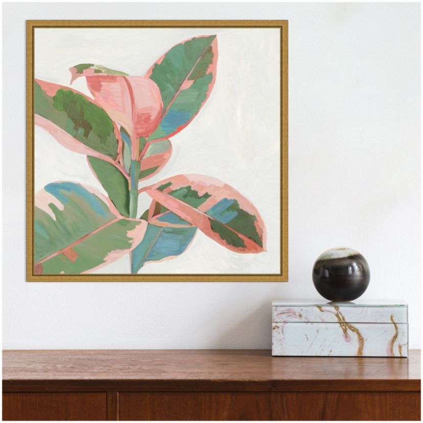 Pink Ficus I Framed Canvas Wall Art Print