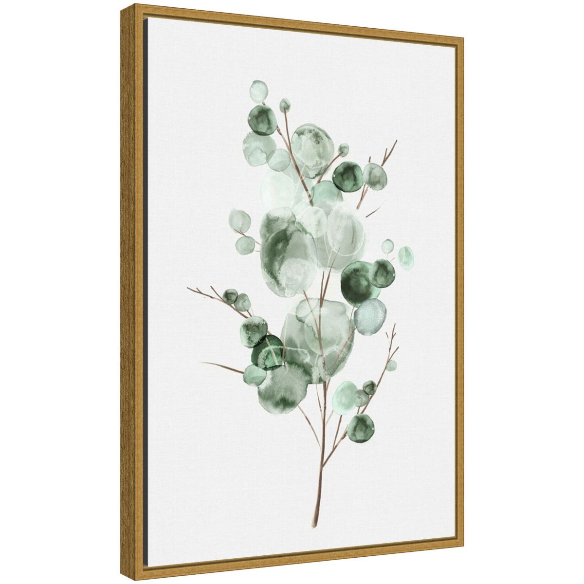 Tender Sprout I (Eucalyptus) Framed Canvas Wall Art Print
