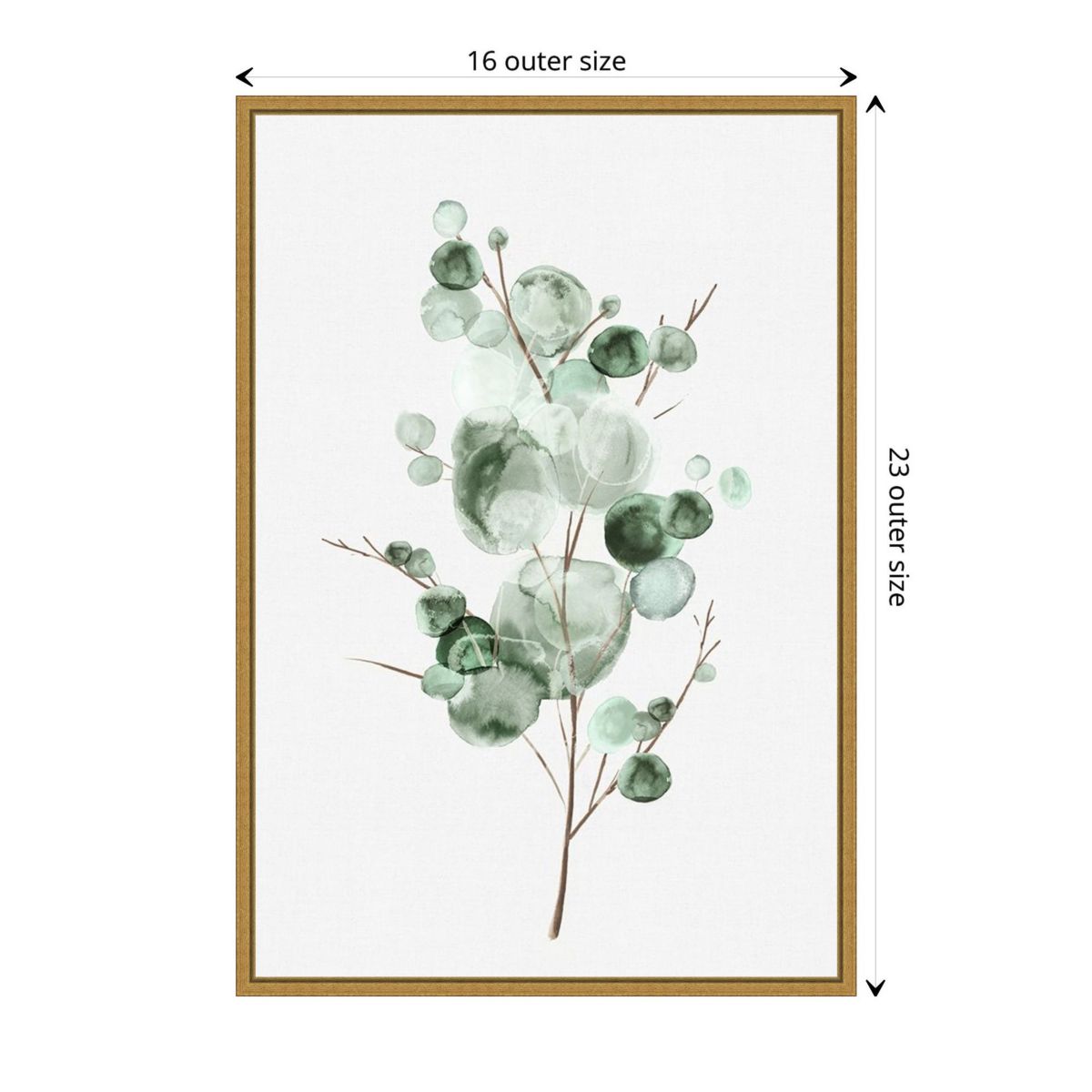 Tender Sprout I (Eucalyptus) Framed Canvas Wall Art Print