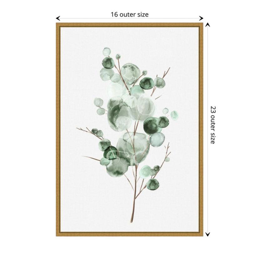 Tender Sprout I (Eucalyptus) Framed Canvas Wall Art Print