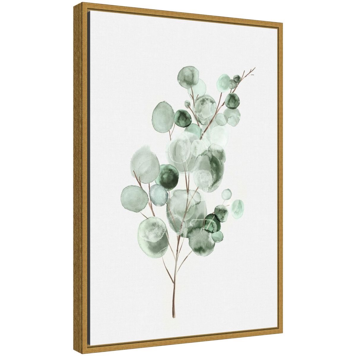 Tender Sprout II (Eucalyptus) Framed Canvas Wall Art Print