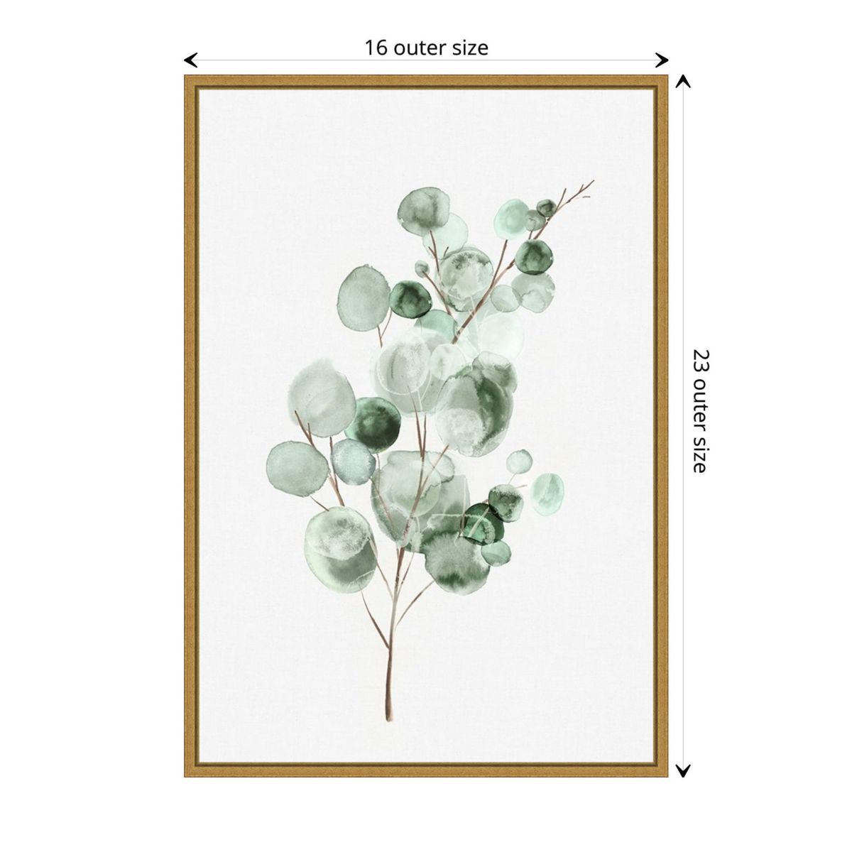 Tender Sprout II (Eucalyptus) Framed Canvas Wall Art Print