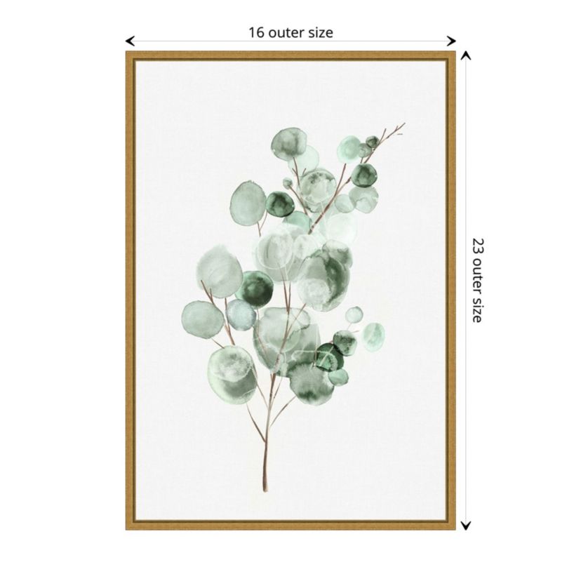 Tender Sprout II (Eucalyptus) Framed Canvas Wall Art Print