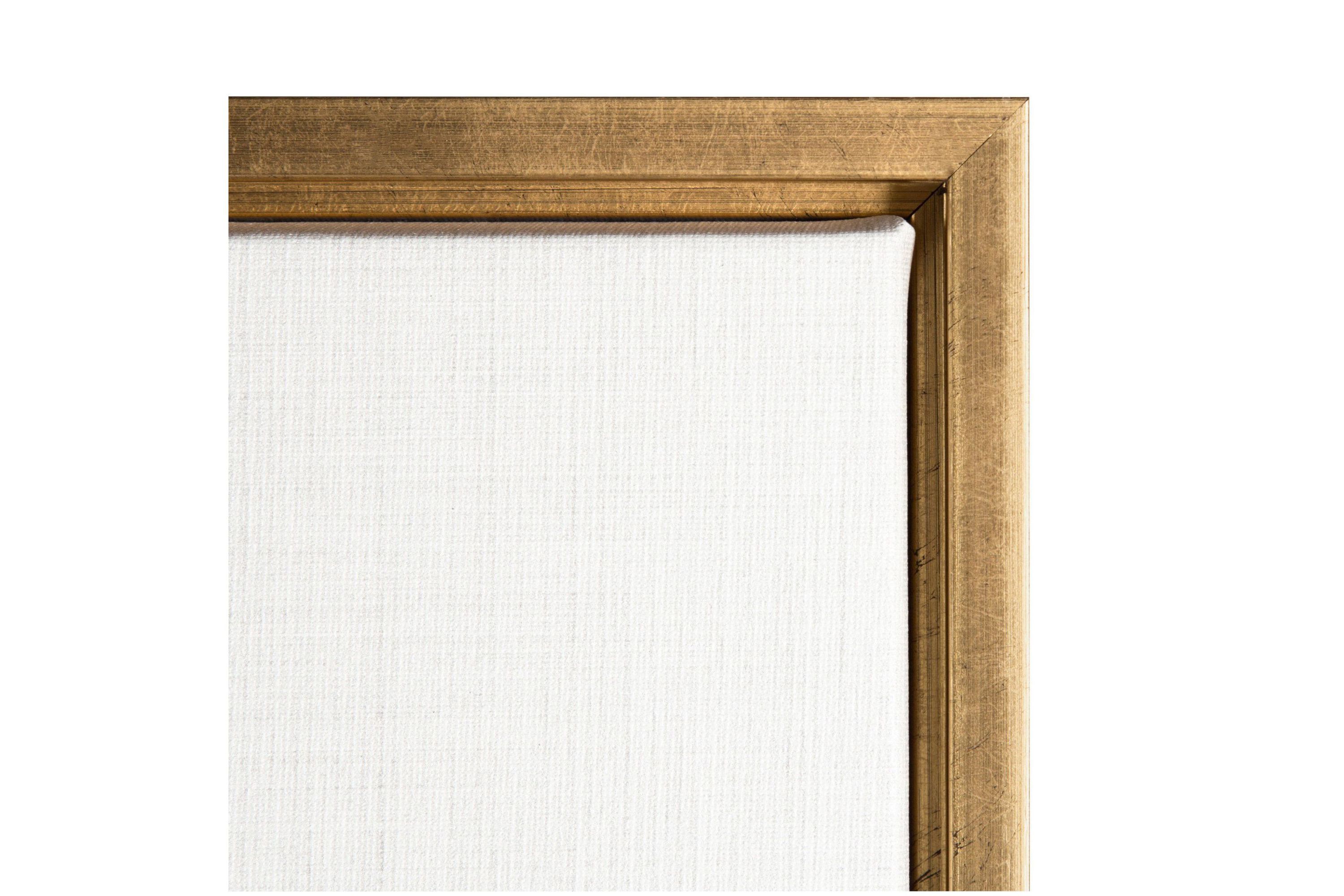 Transparent Beauty III (Floral) Framed Canvas Wall Art Print
