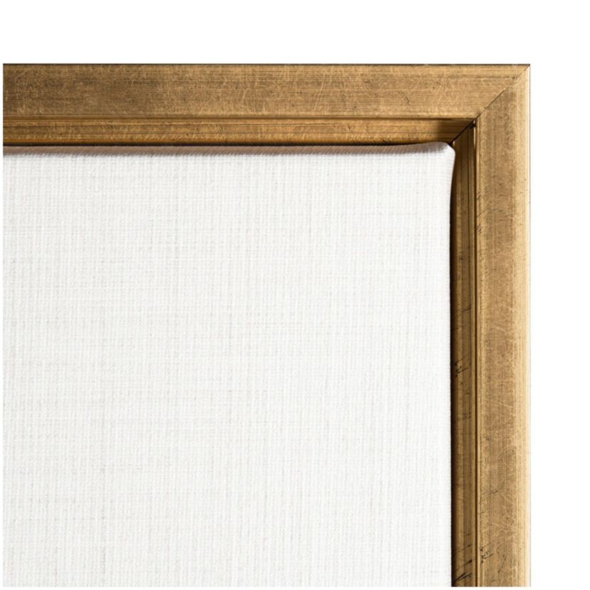 Transparent Beauty III (Floral) Framed Canvas Wall Art Print