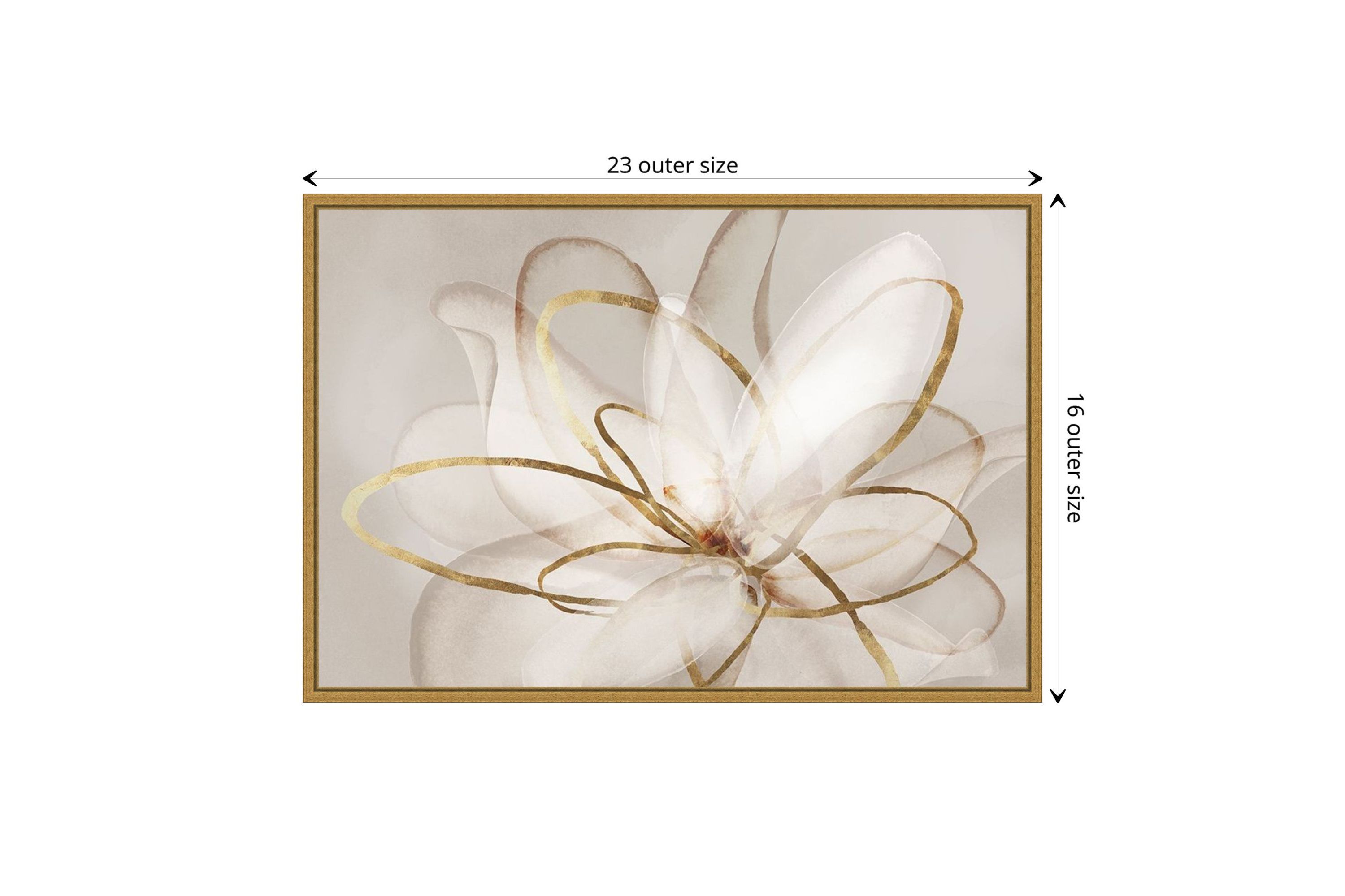 Transparent Beauty III (Floral) Framed Canvas Wall Art Print