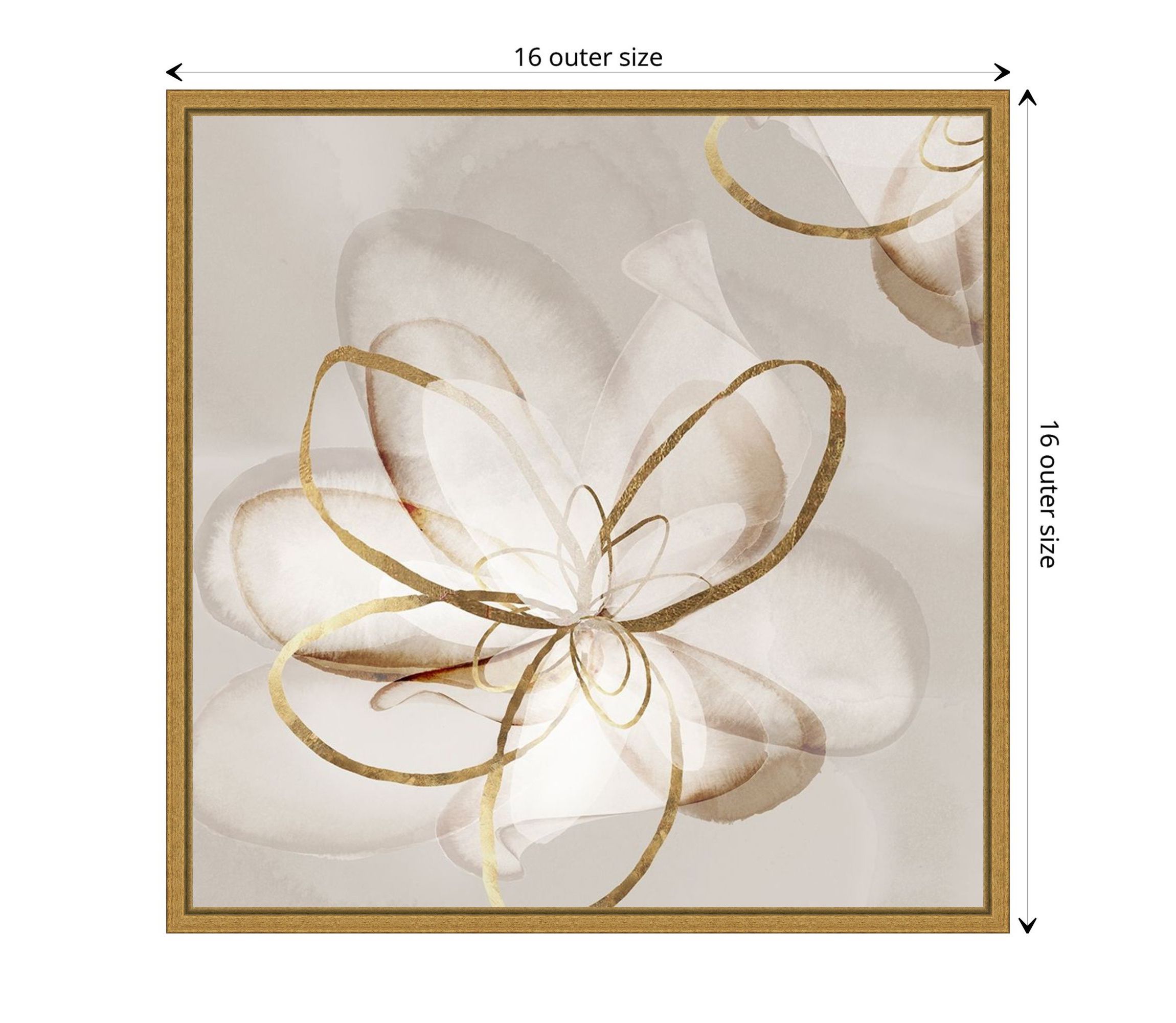 Transparent Beauty II (Floral) Framed Canvas Wall Art Print