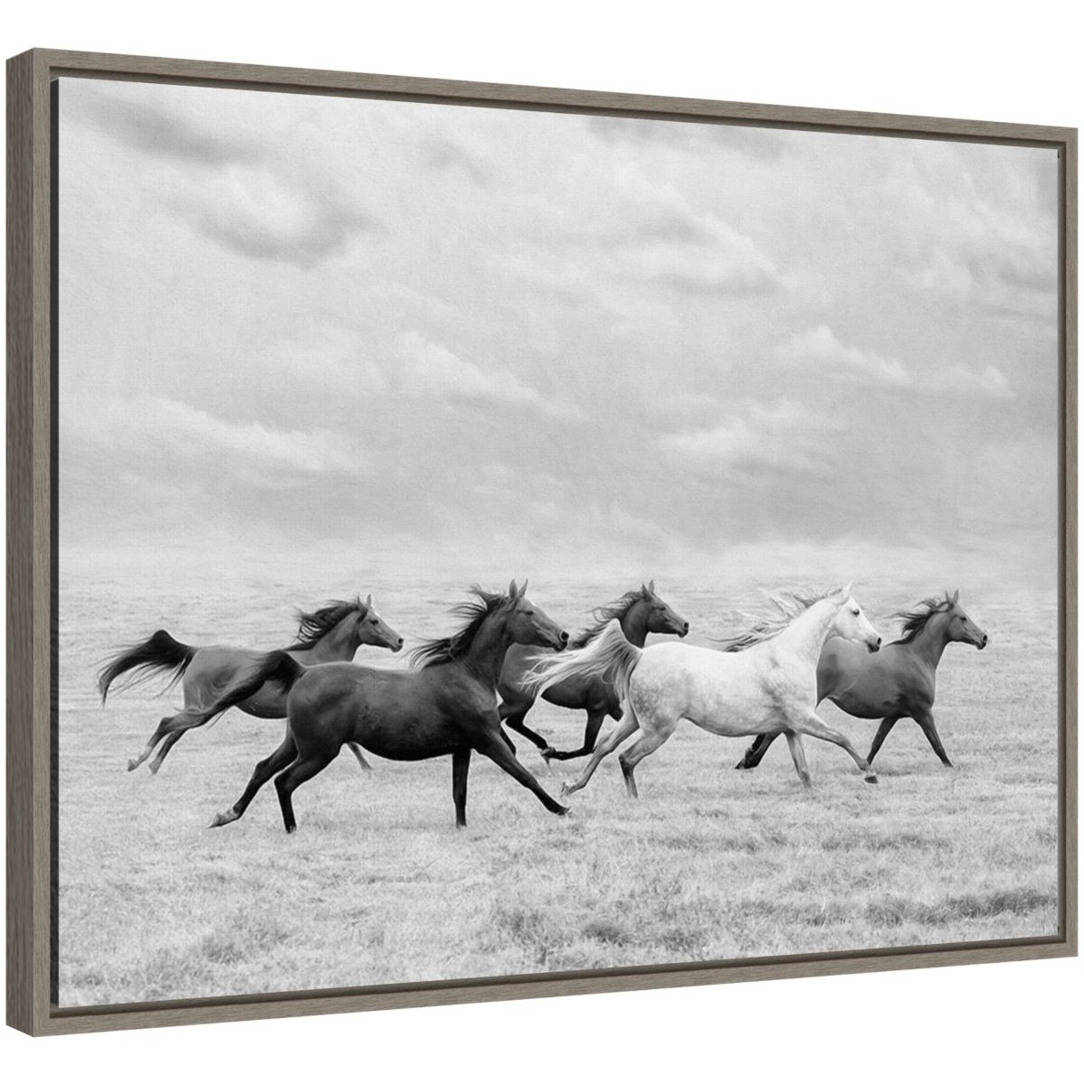 Horse Run I Framed Canvas Wall Art Print