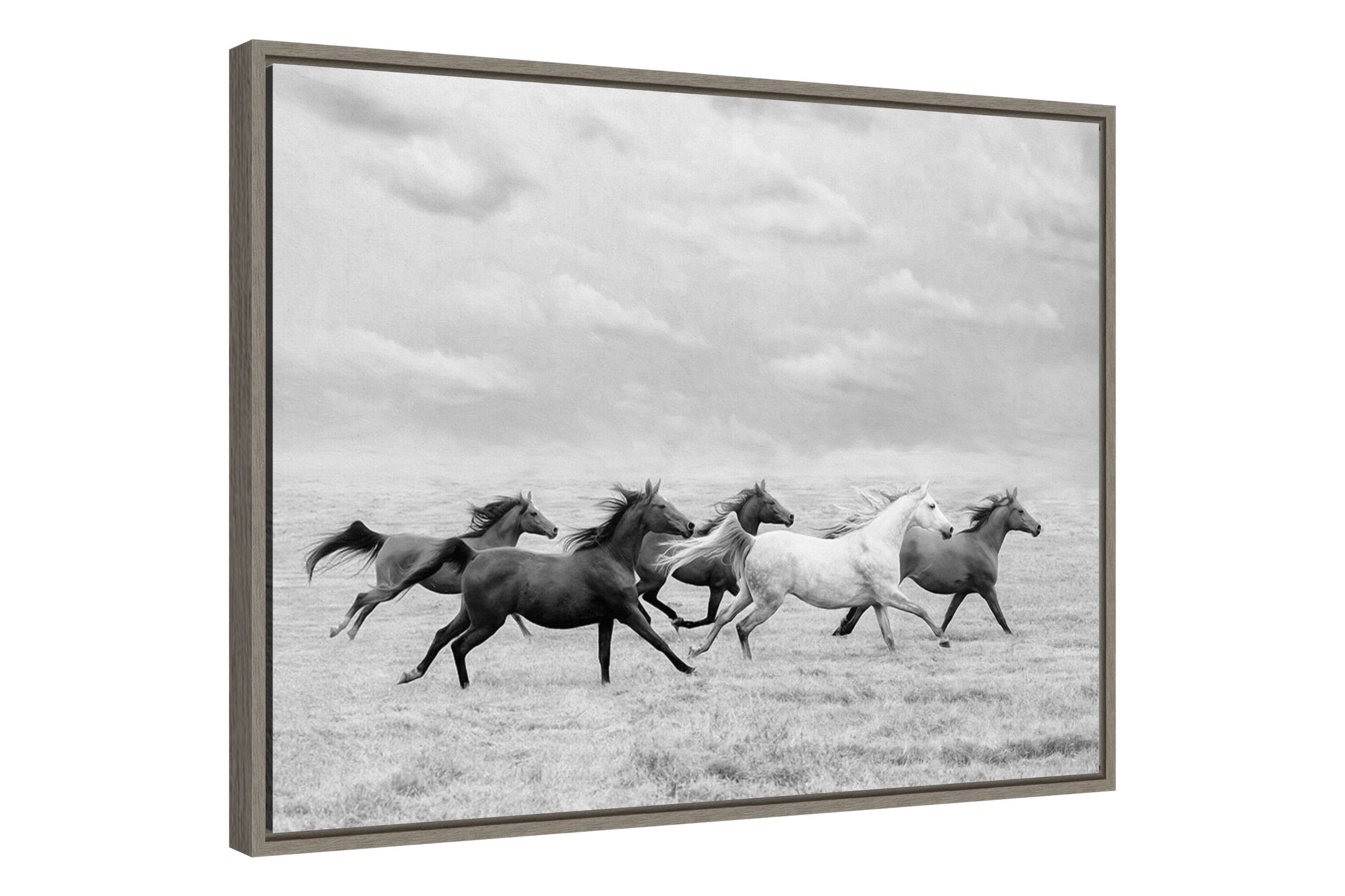 Horse Run I Framed Canvas Wall Art Print