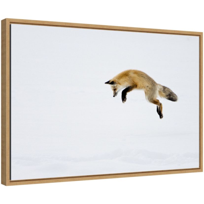Red Fox in Snow Framed Canvas Wall Art Print