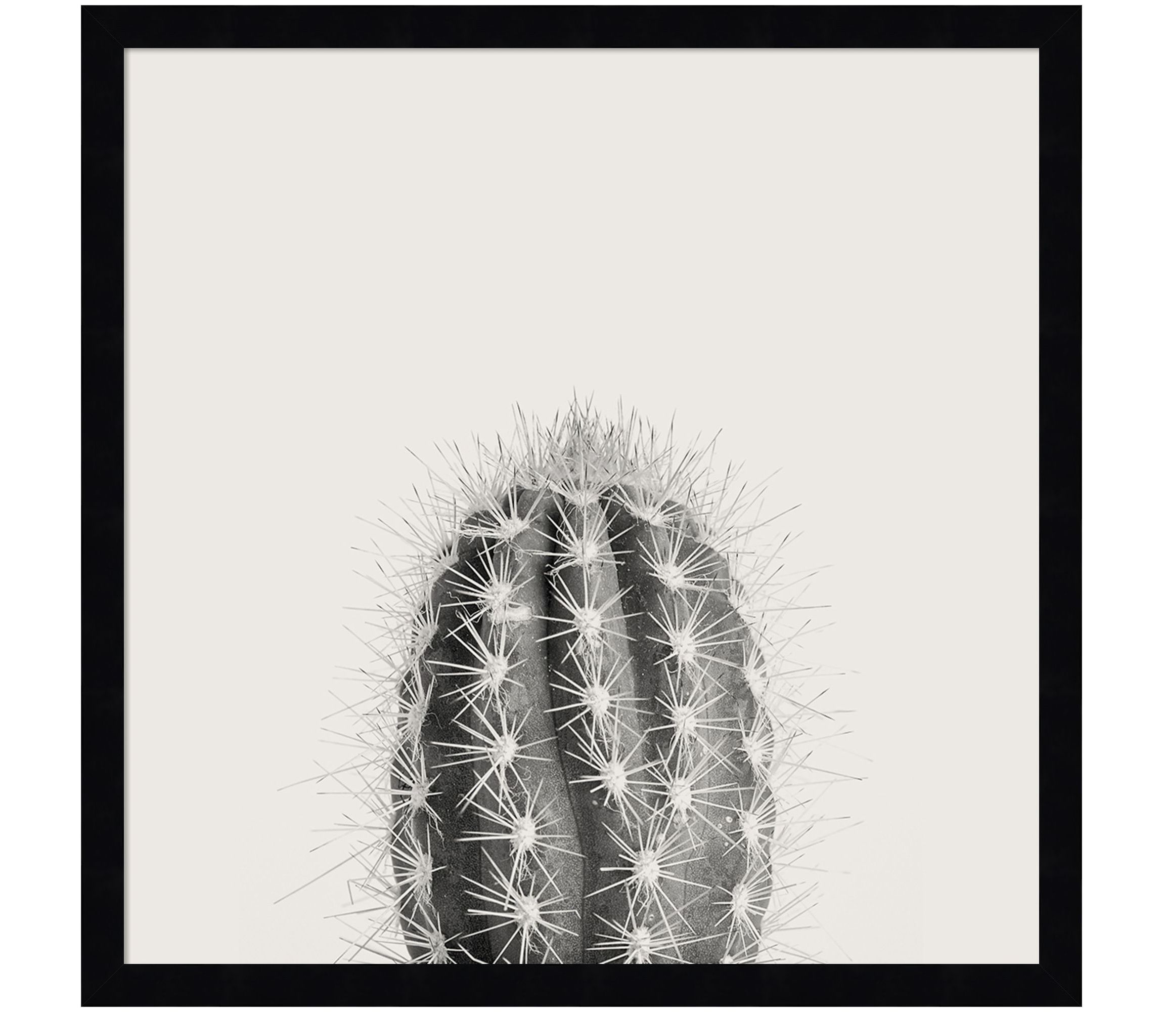 Haze Cactus Succulent Tall Framed Wall Art Print