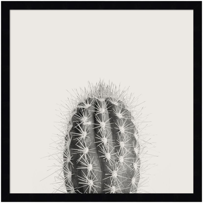 Haze Cactus Succulent Tall Framed Wall Art Print