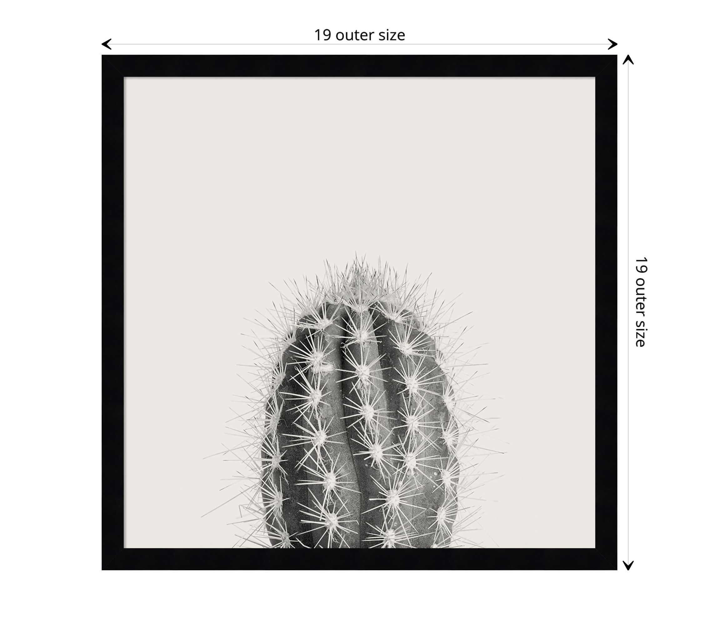 Haze Cactus Succulent Tall Framed Wall Art Print