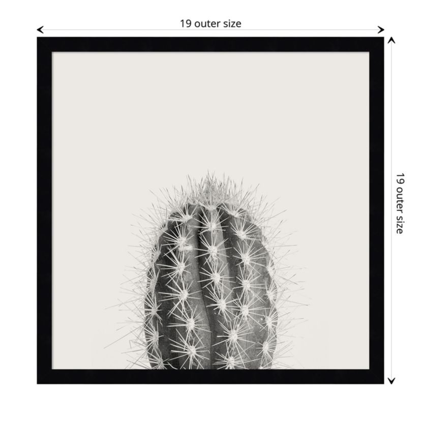 Haze Cactus Succulent Tall Framed Wall Art Print