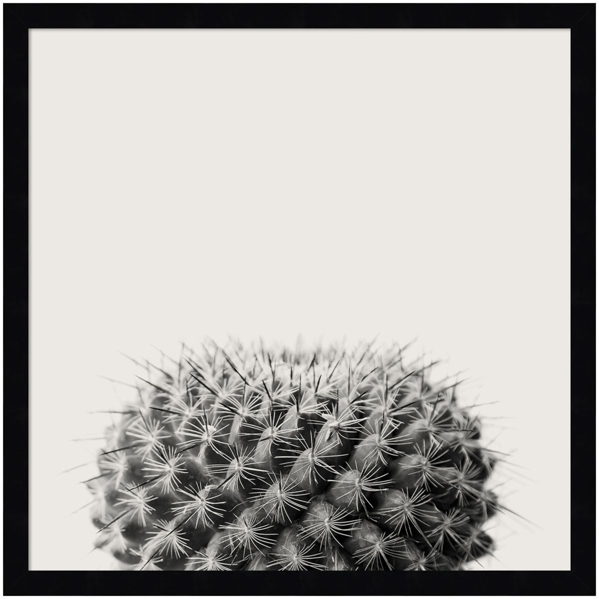 Haze Cactus Succulent Framed Wall Art Print
