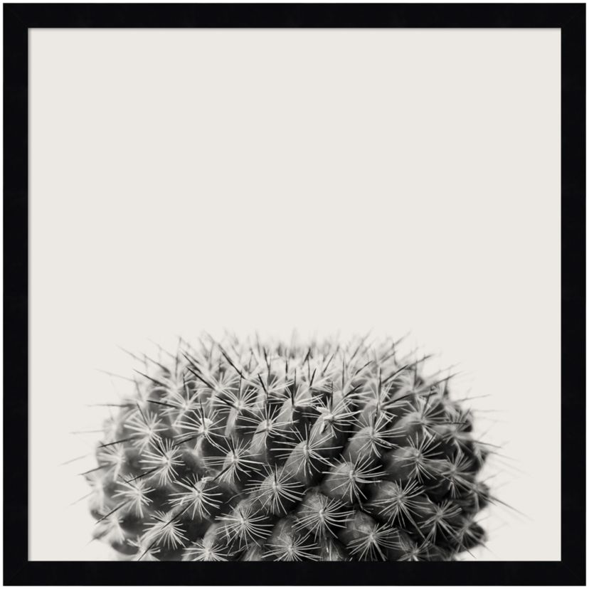 Haze Cactus Succulent Framed Wall Art Print