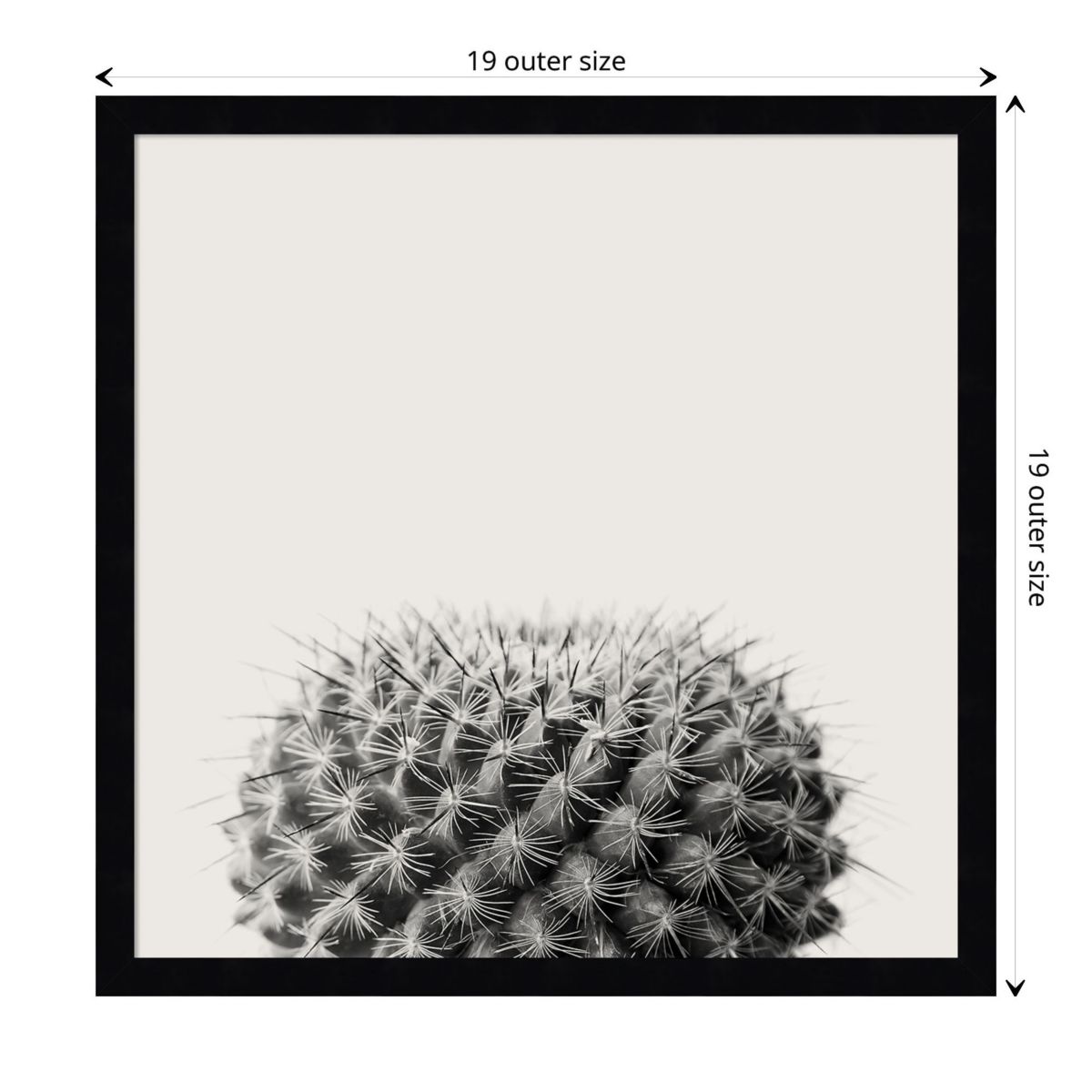 Haze Cactus Succulent Framed Wall Art Print