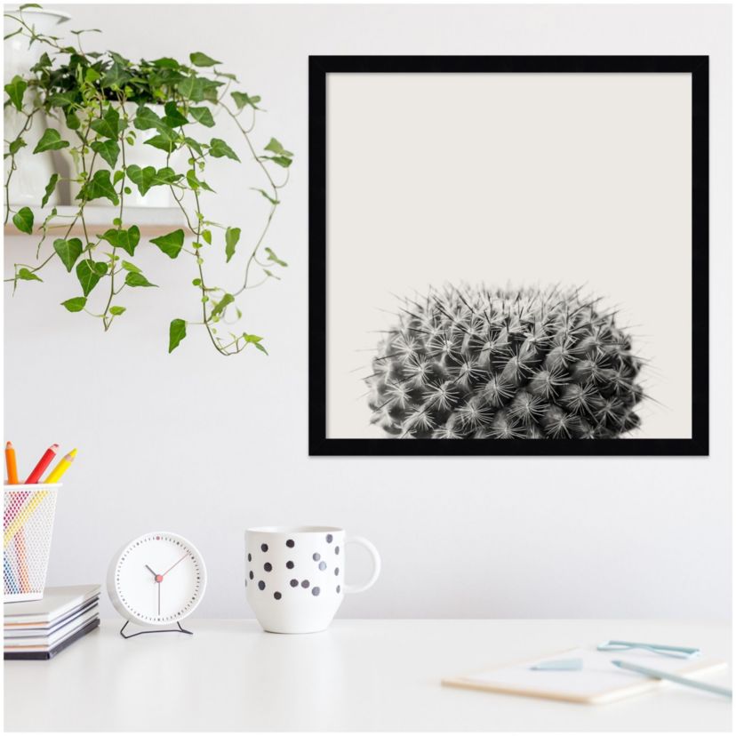 Haze Cactus Succulent Framed Wall Art Print