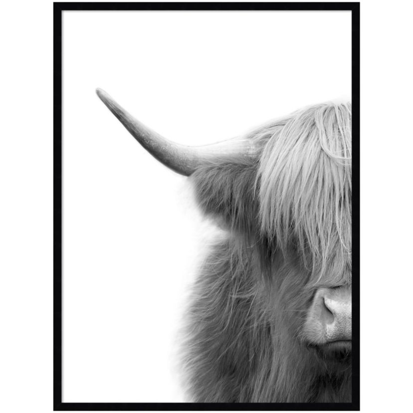 Hey Dude Highland Cow by The Creative Bunch Studio Wood Framed Wall Art Print