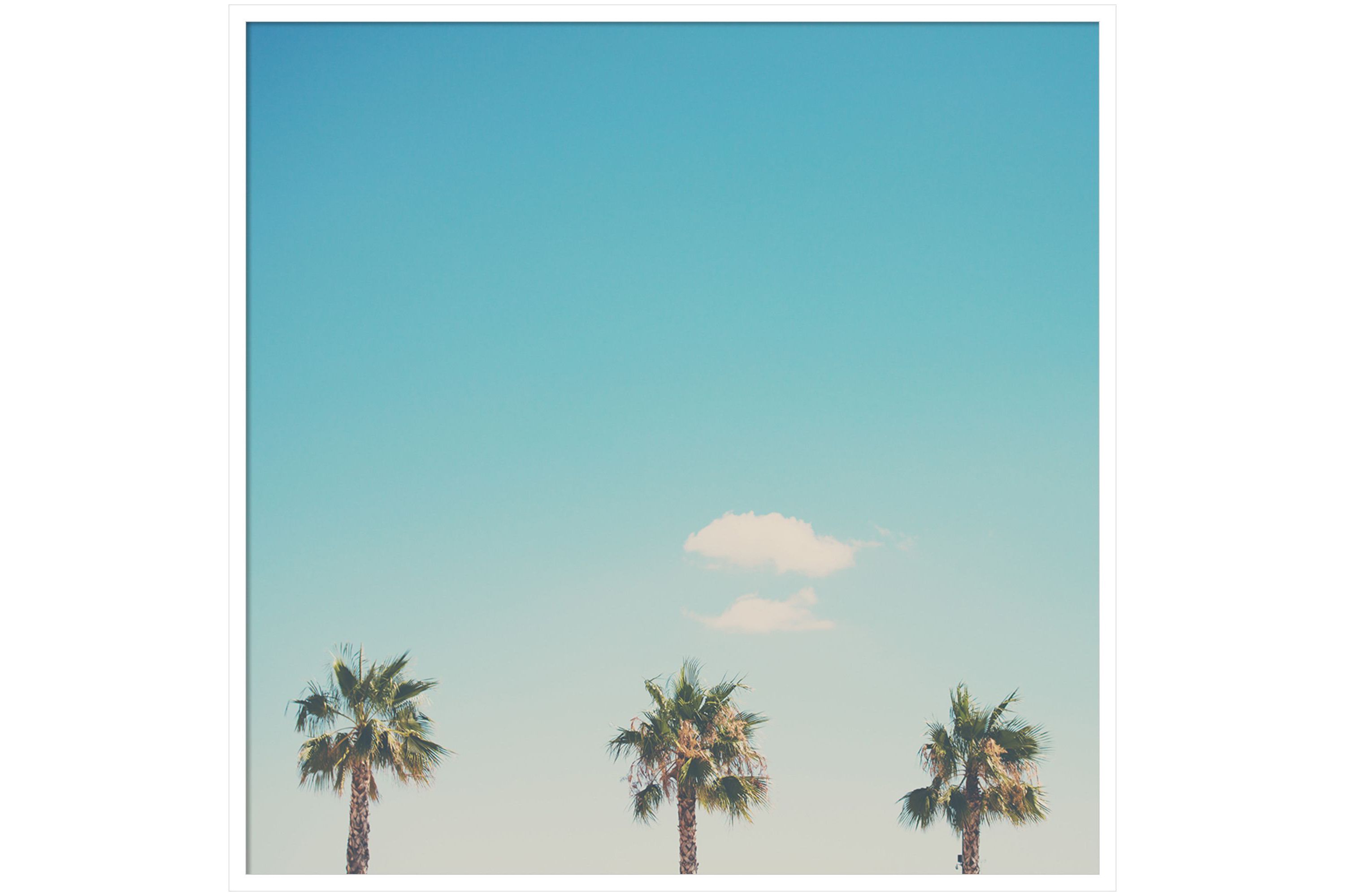 A Trio Of Palm Trees by Laura Evans Wood Framed Wall Art Print