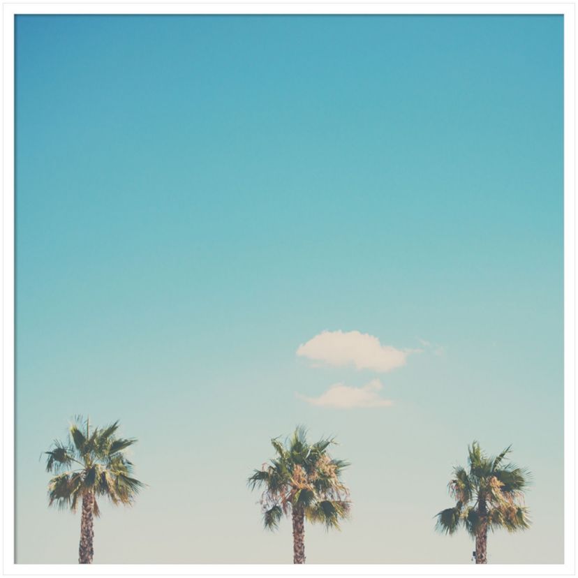 A Trio Of Palm Trees by Laura Evans Wood Framed Wall Art Print