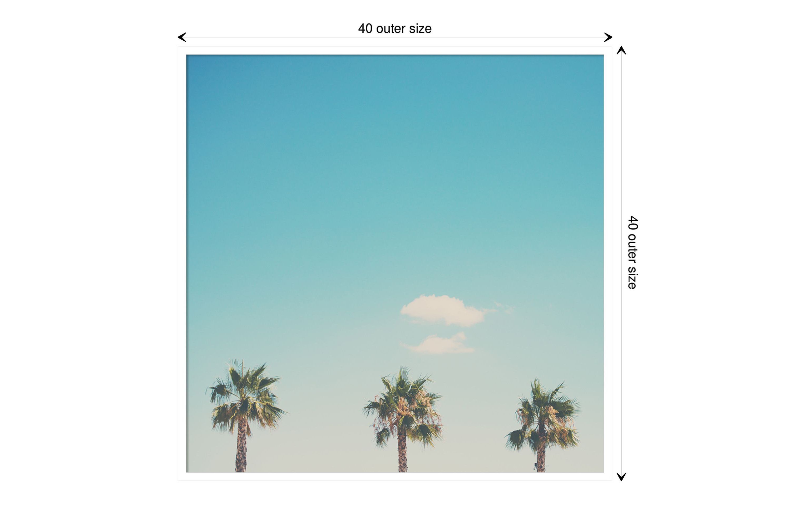 A Trio Of Palm Trees by Laura Evans Wood Framed Wall Art Print