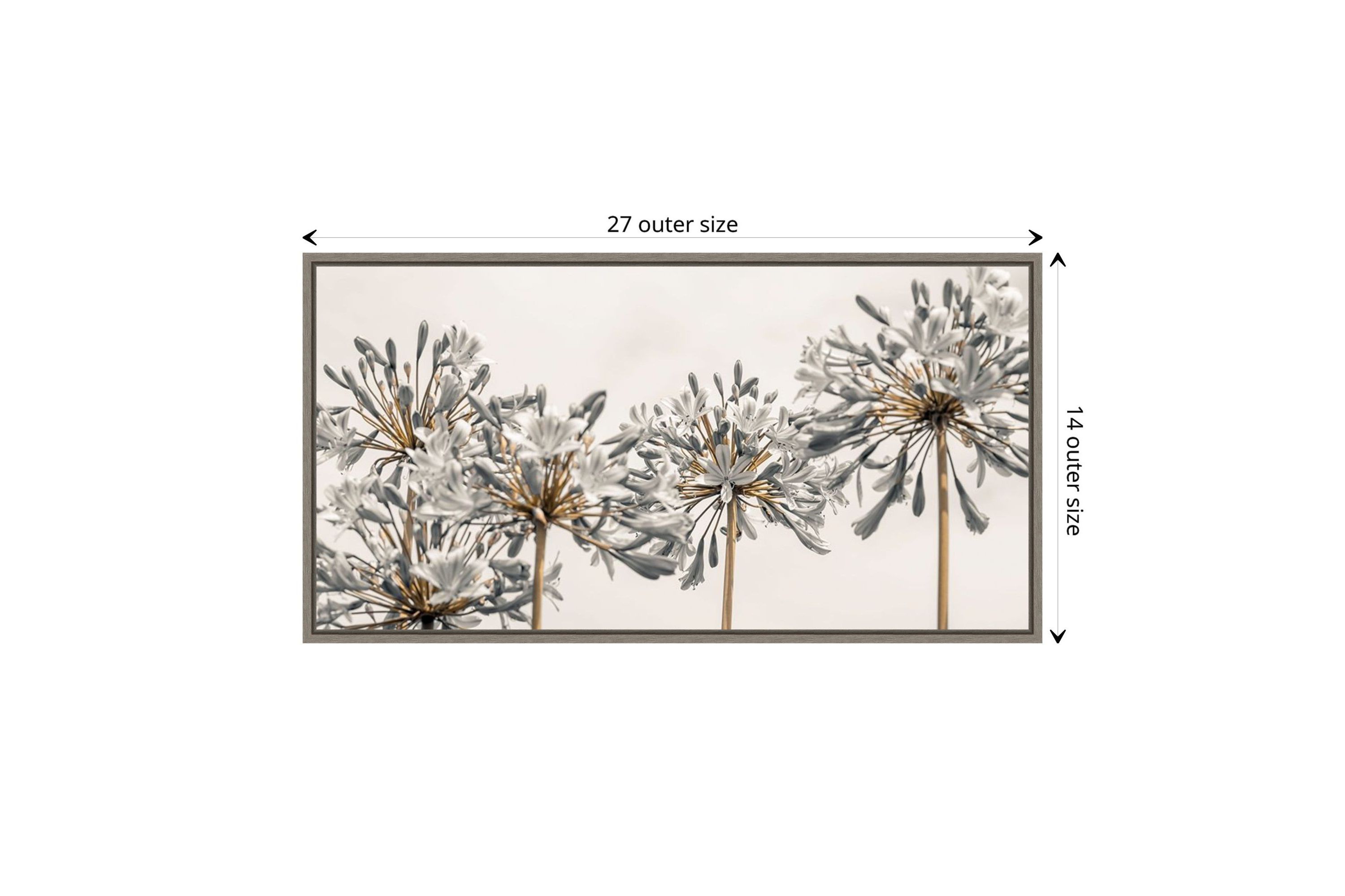 African Lily Flowers II Framed Canvas Wall Art Print