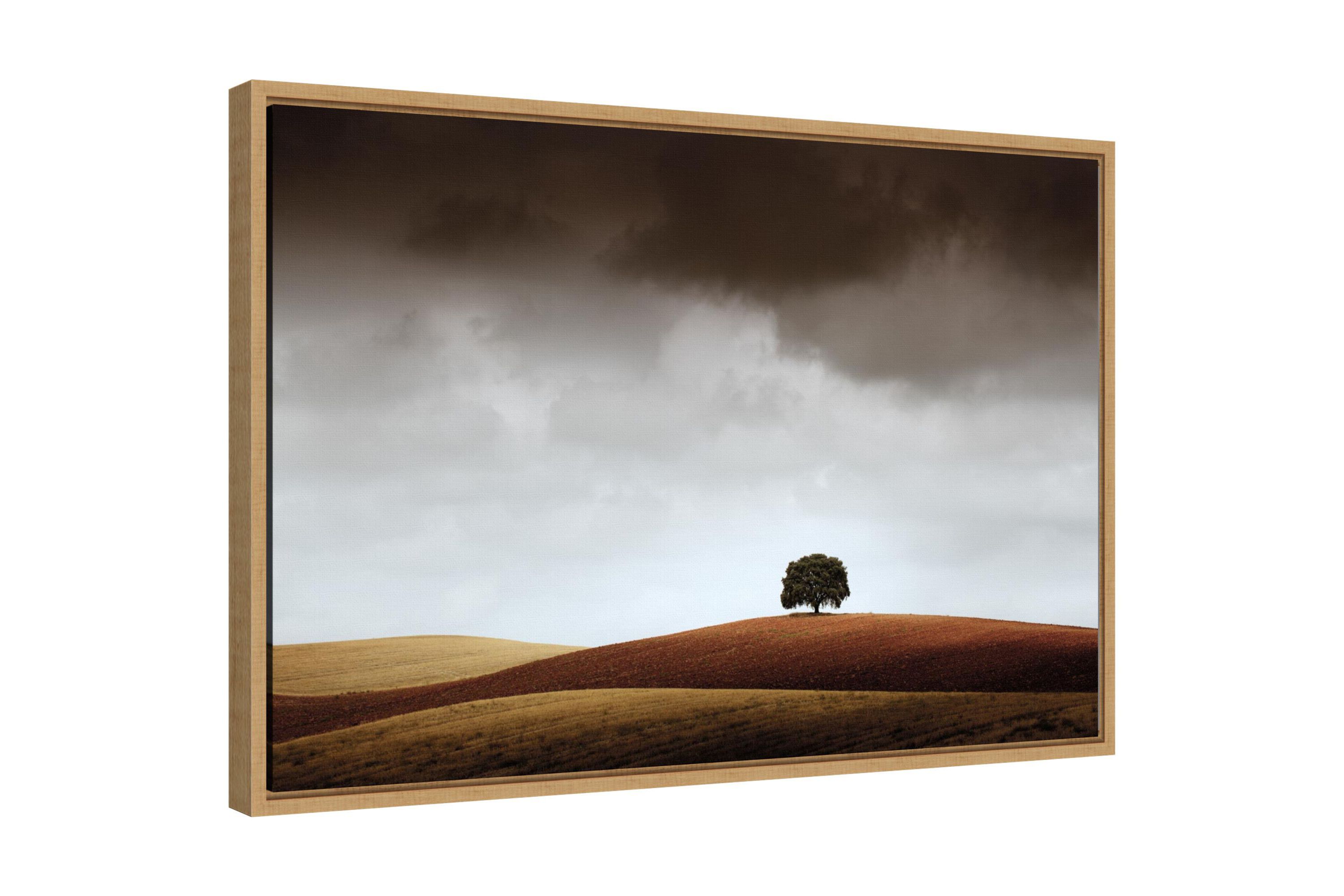 Distant Tree and Horizon Framed Canvas Wall Art Print