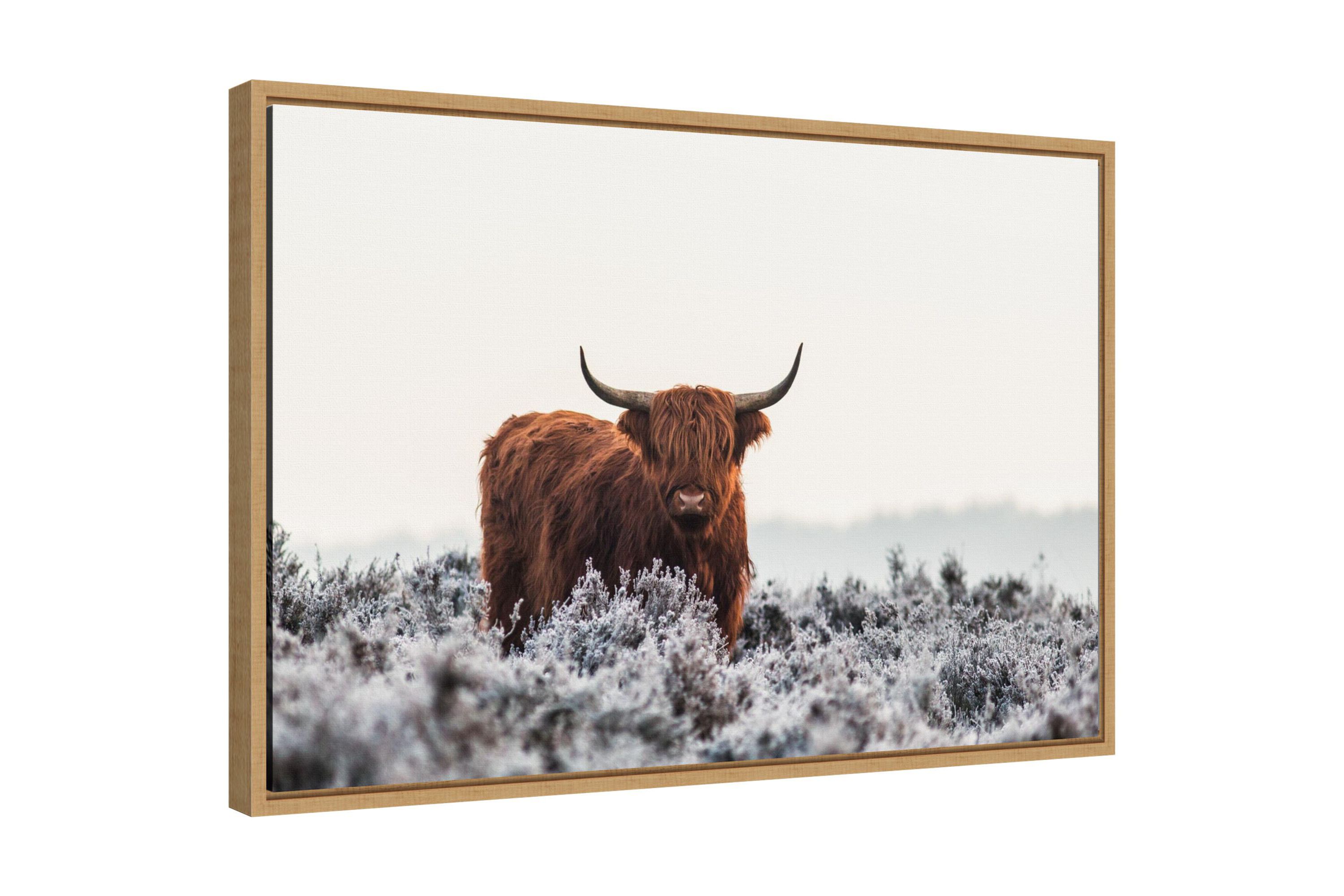 Highlander Horns Framed Canvas Wall Art Print