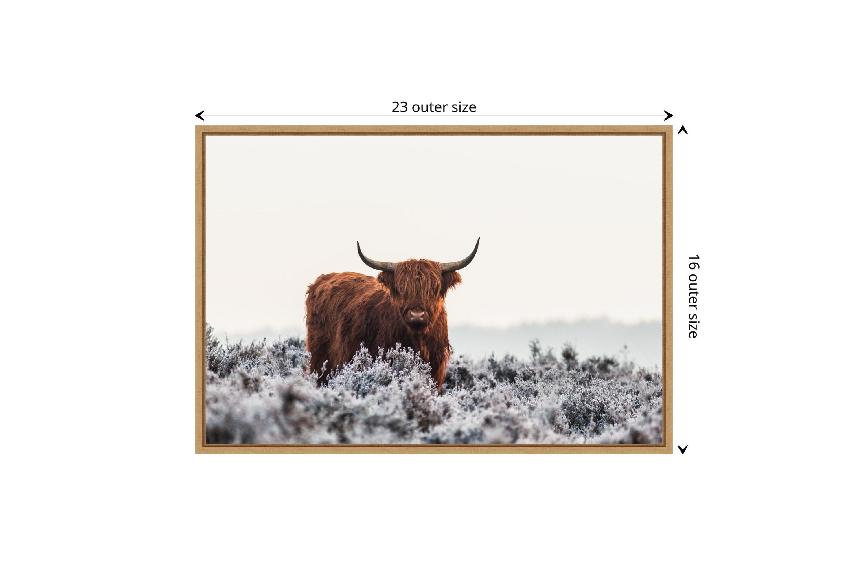 Highlander Horns Framed Canvas Wall Art Print