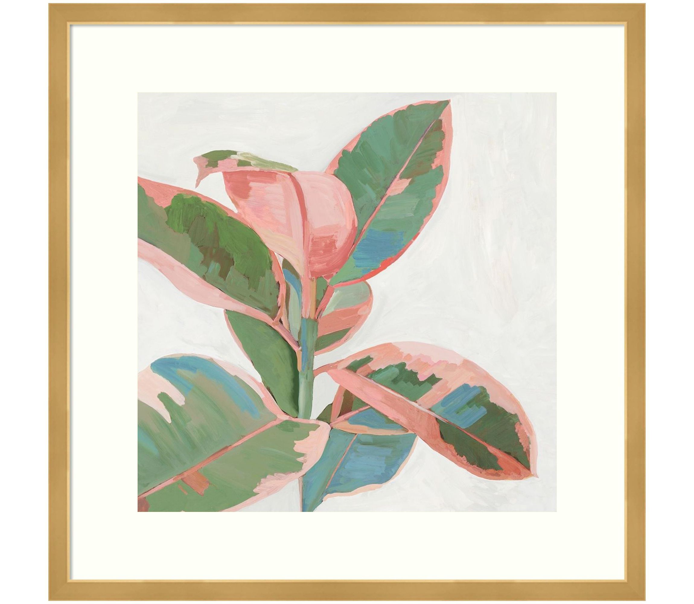 Pink Ficus I Framed Wall Art Print