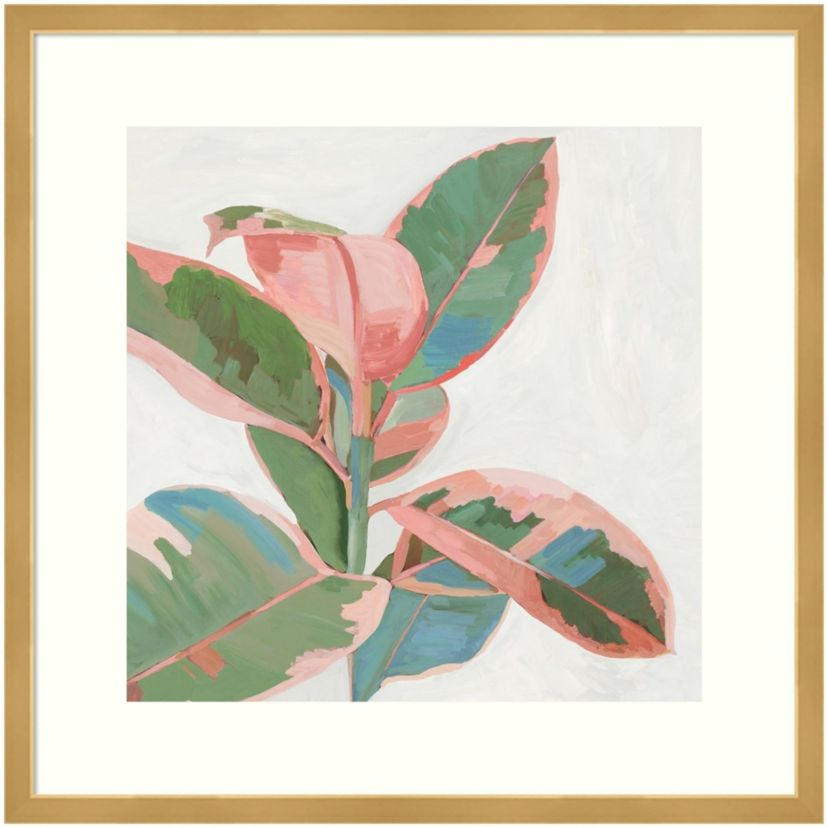 Pink Ficus I Framed Wall Art Print