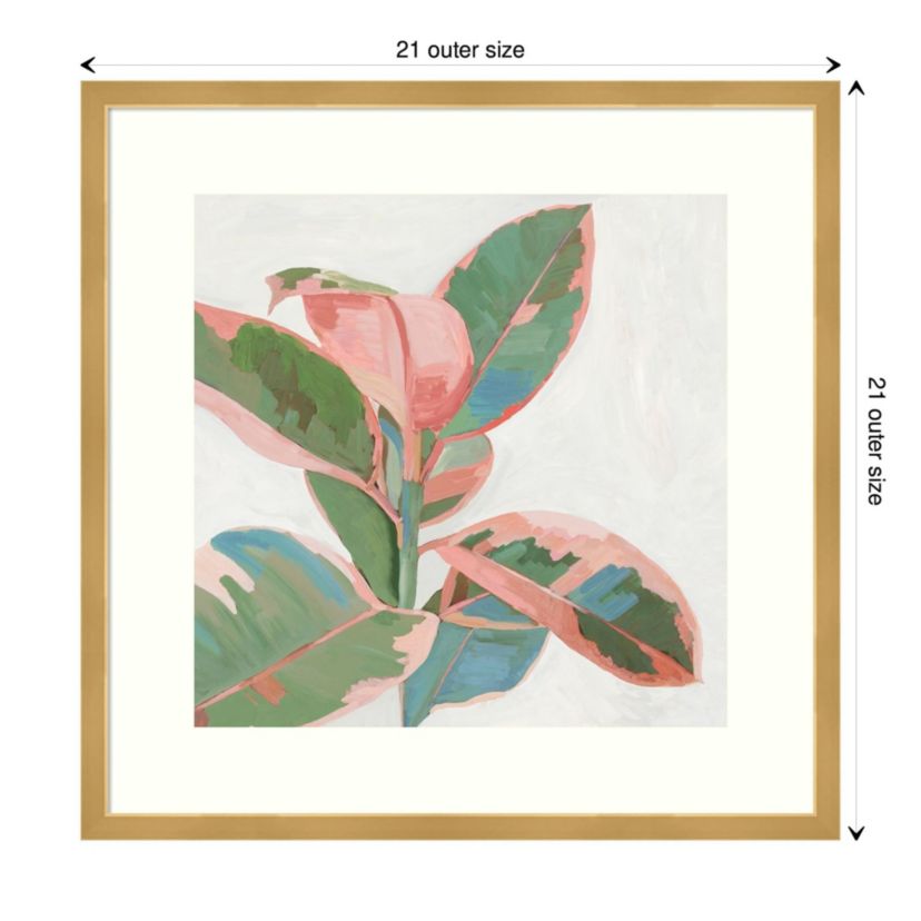 Pink Ficus I Framed Wall Art Print